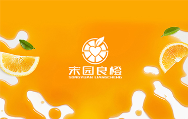 某良橙——汕尾LOGO设计